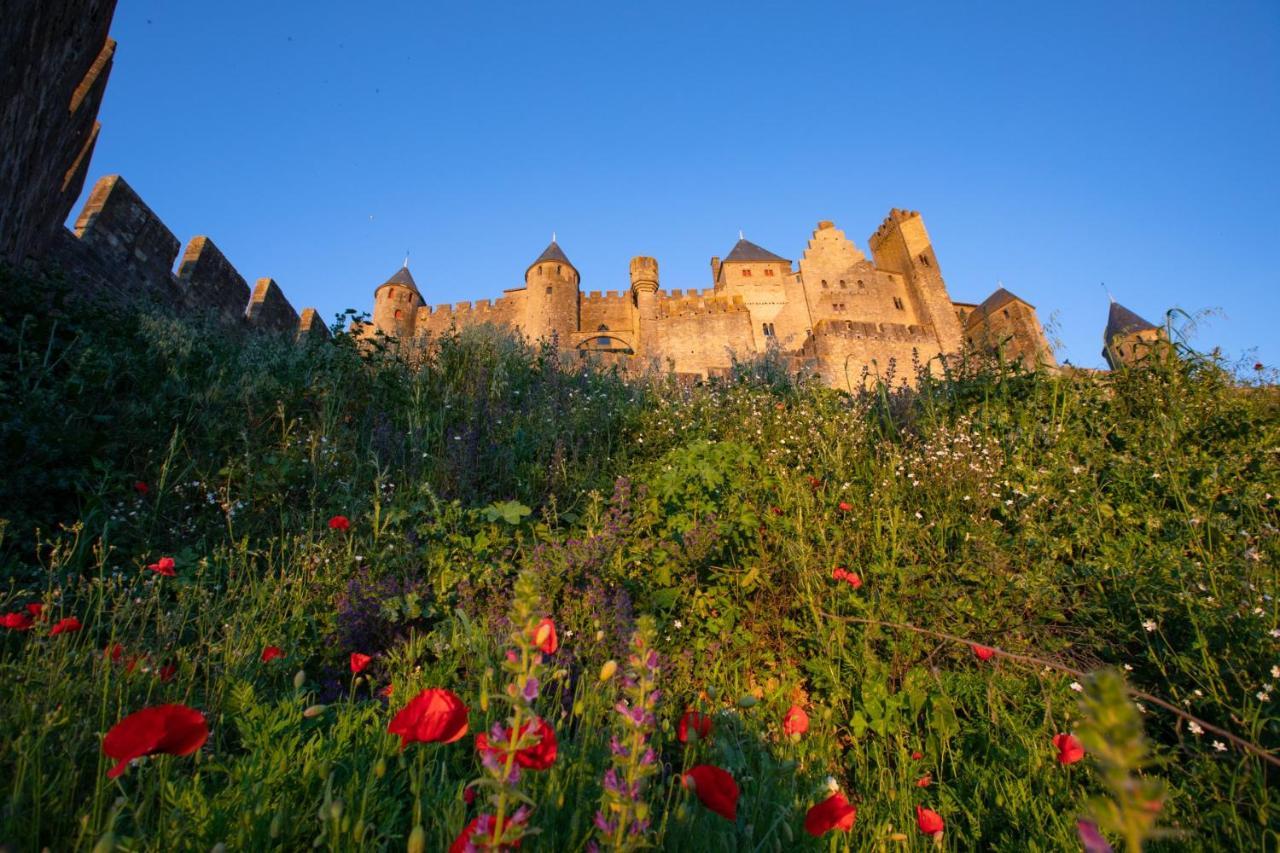 Tout Confort ! Climatisation, Centre-Ville, Parking, Terrasse, Wifi, Netflix Carcassonne Exterior foto