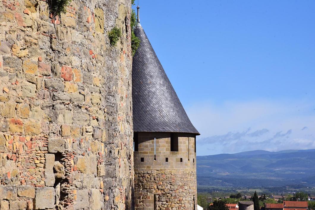 Tout Confort ! Climatisation, Centre-Ville, Parking, Terrasse, Wifi, Netflix Carcassonne Exterior foto